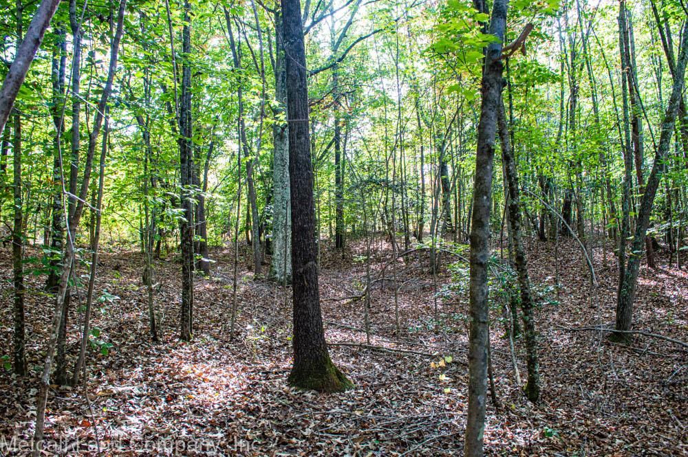 Manning Road, Smyrna, SC 29743 MLS 418000