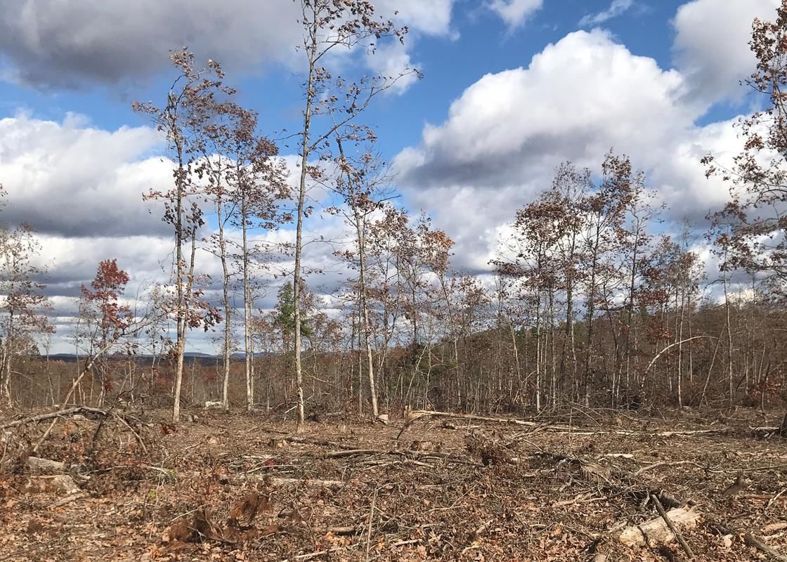 38.67 acres in Reynolds County, Missouri