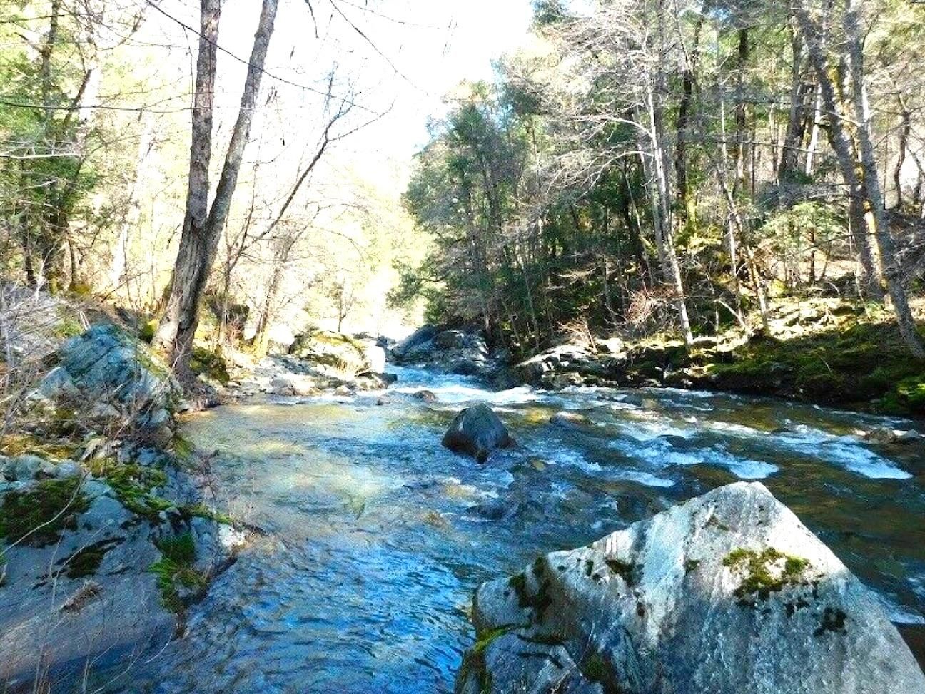 40 acres in Siskiyou County, California