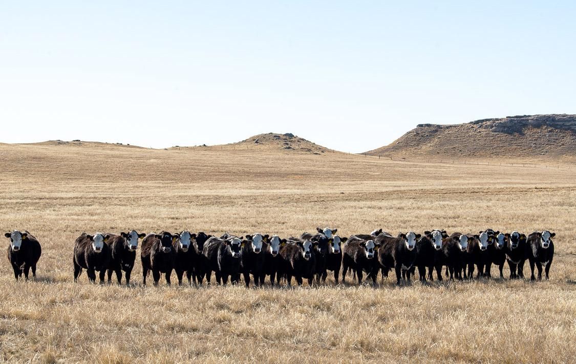 19,998 acres in Goshen County, Wyoming