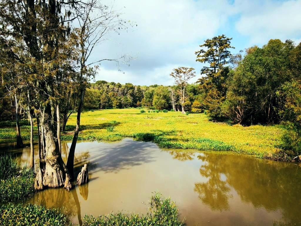 000 Rodney Bend Road, Lorman, MS 39096