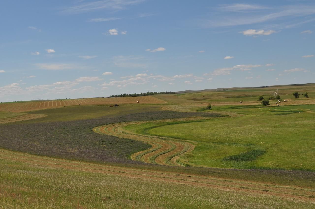 10579 156th Avenue, Lodgepole, SD 57640