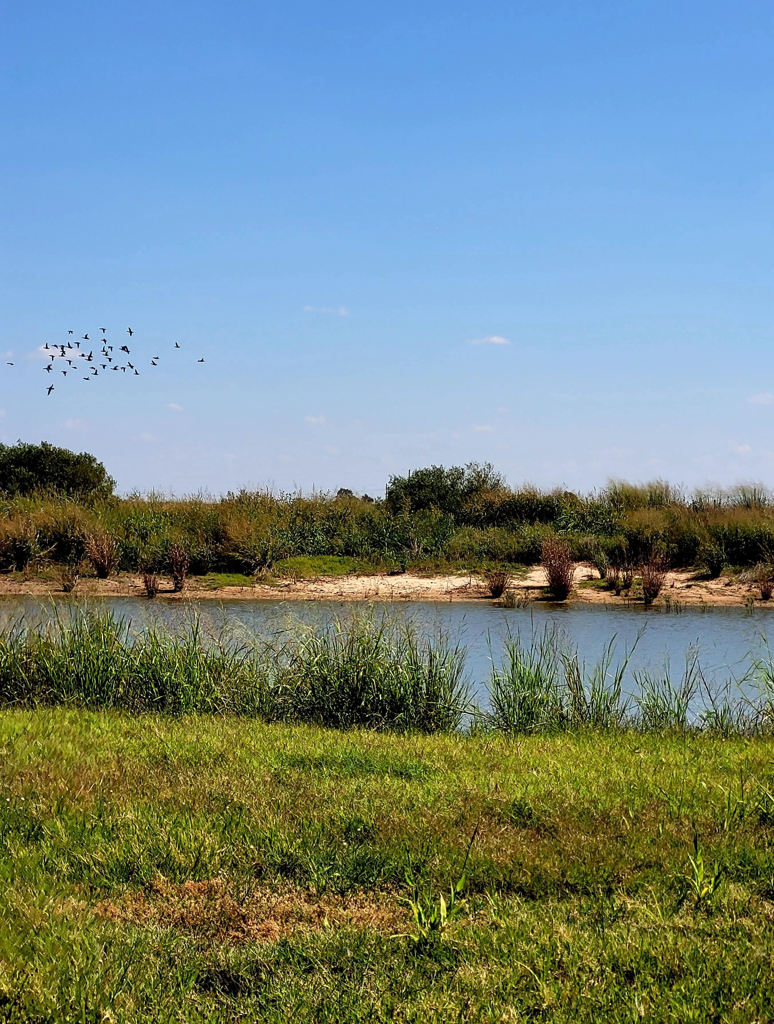 160 acres in Tillman County, Oklahoma