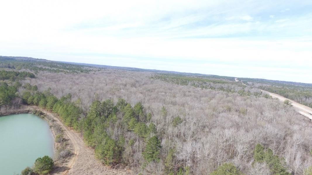 88.1 acres in Wilkinson County,