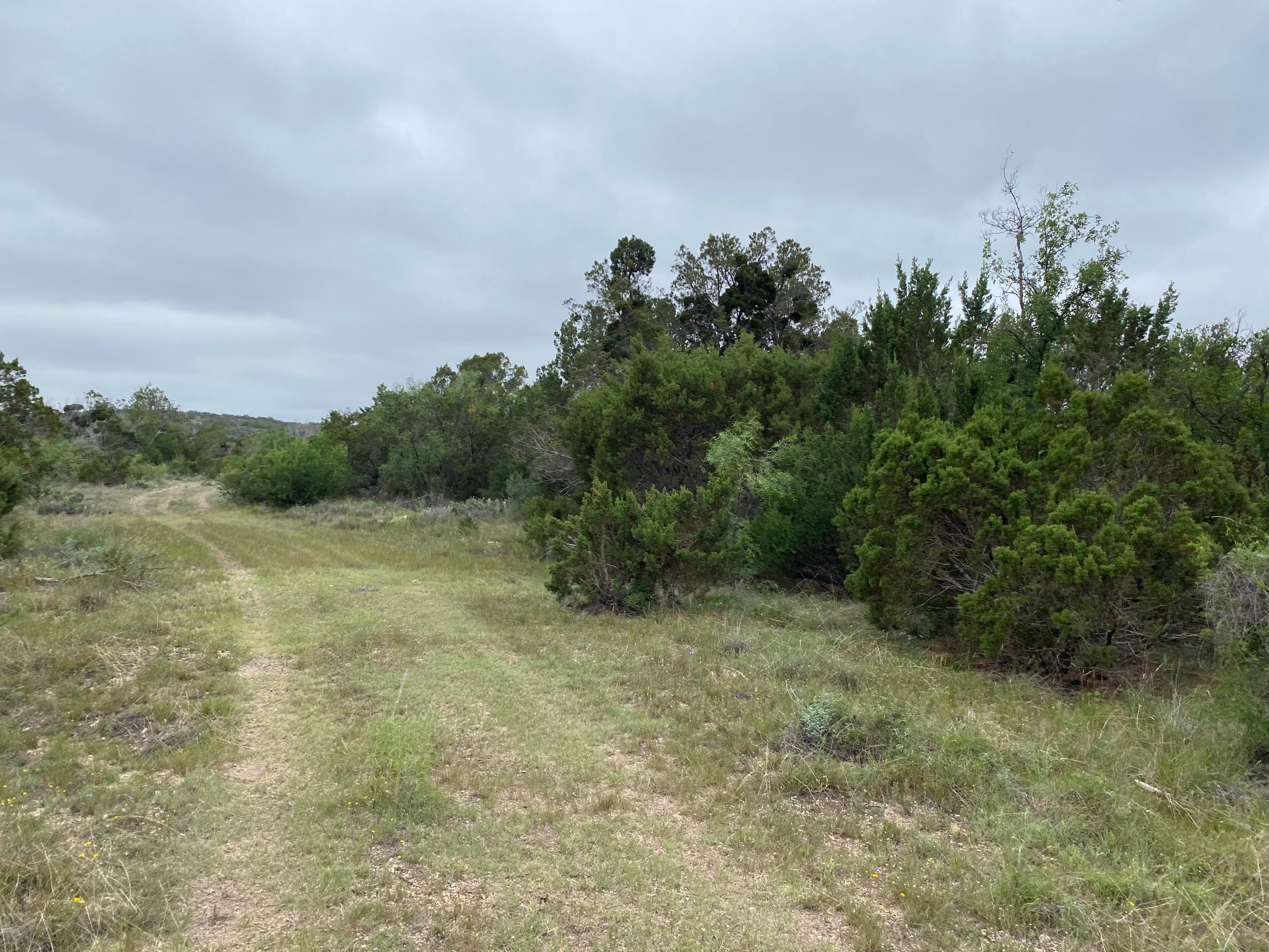 75 acres in Sutton County, Texas