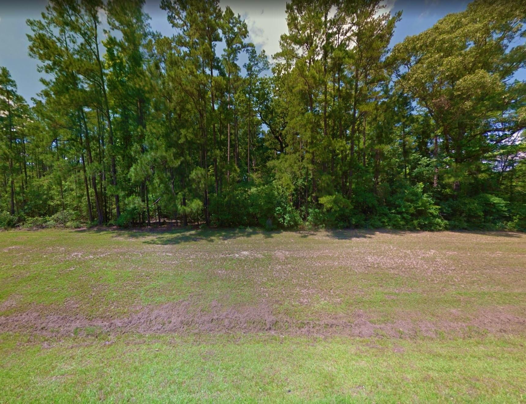 Louis Street, Zavalla, TX 75980