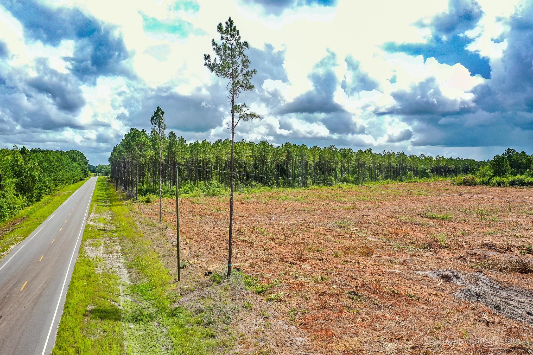 97 acres in Appling County,