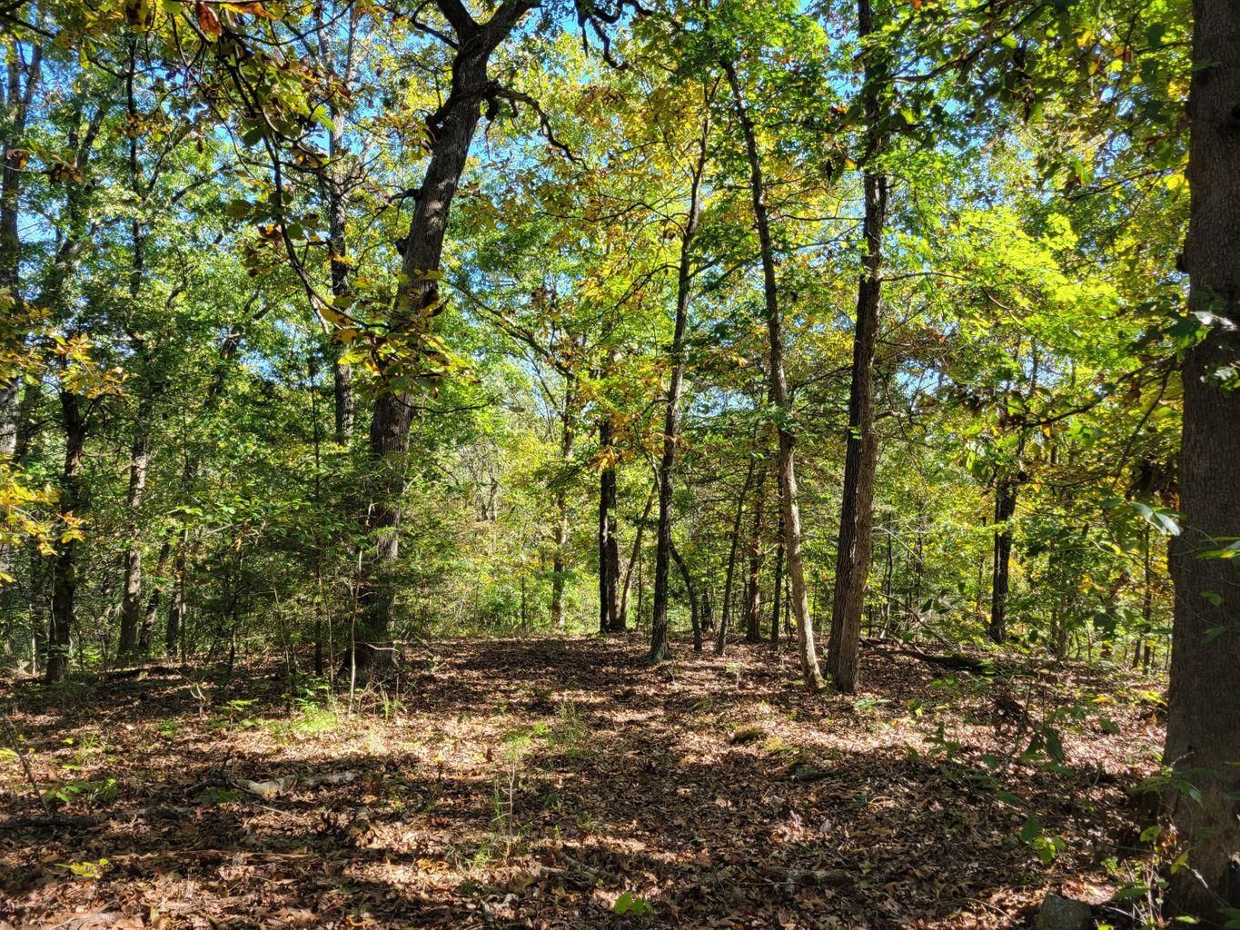 120 acres in Miller County, Missouri