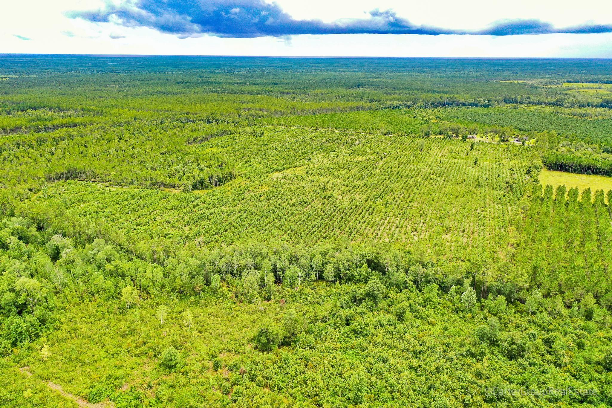 58 acres in Ware County,