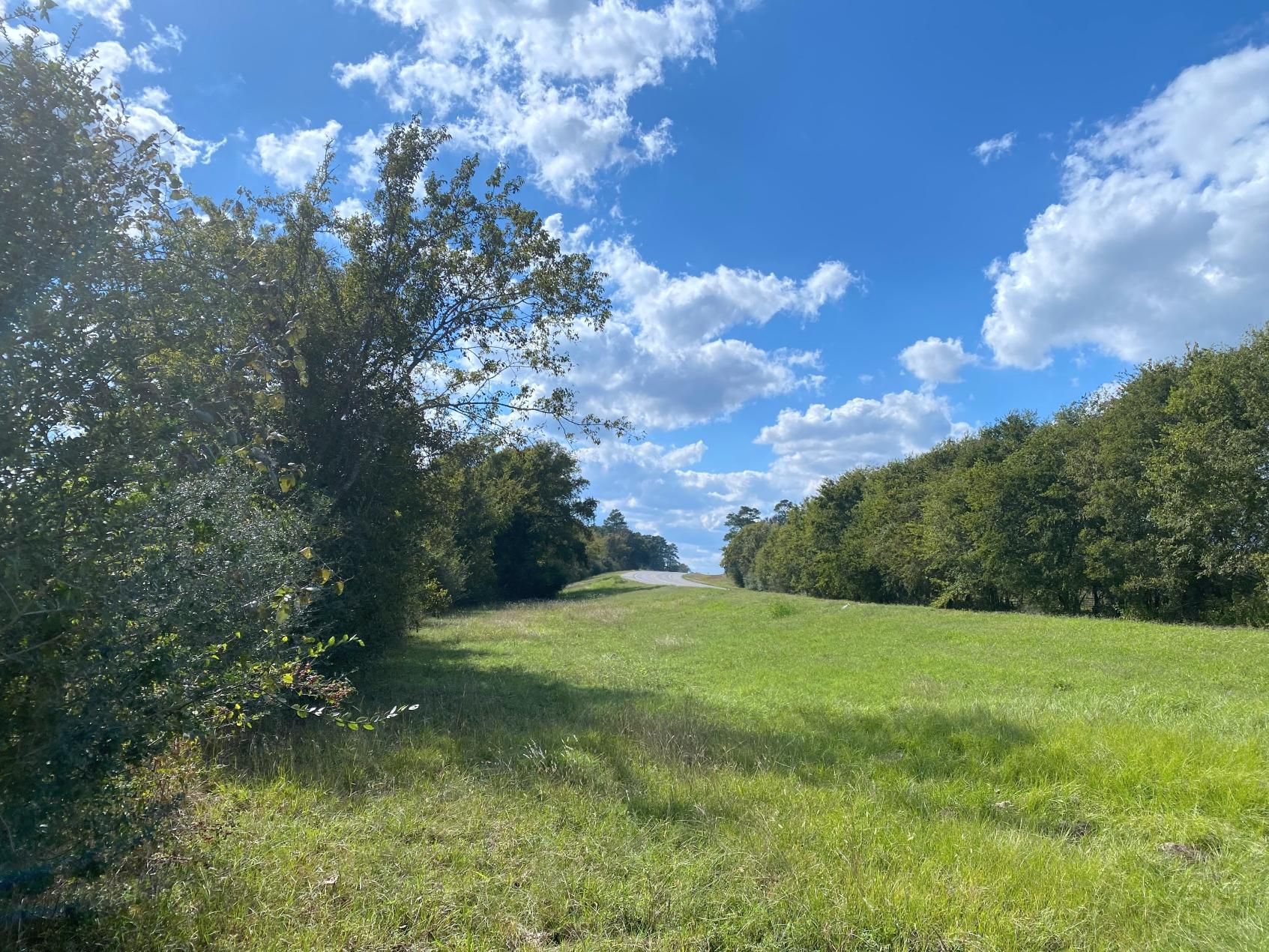 2 acres in Montgomery County, Texas