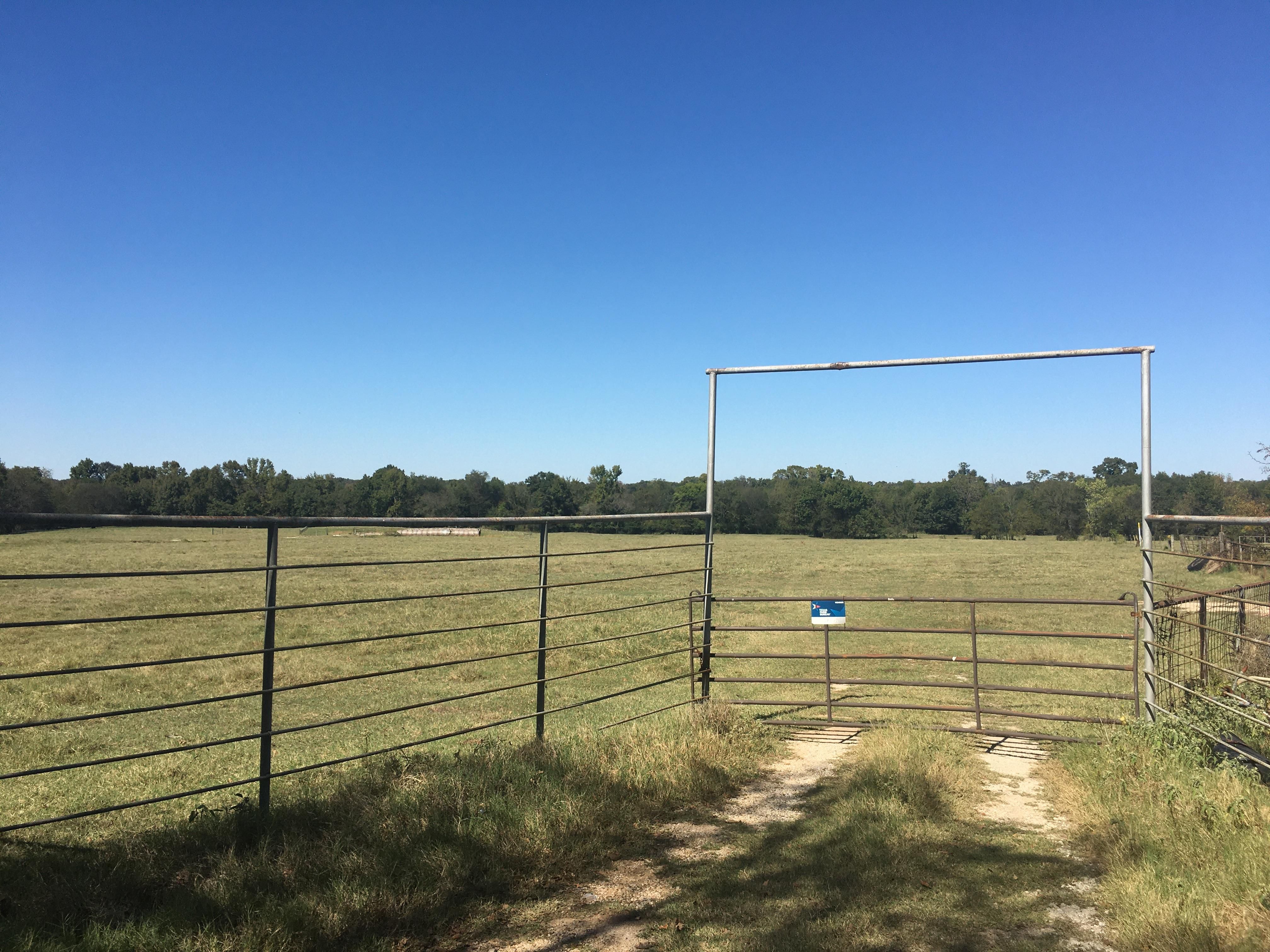 80 acres in Franklin County, Texas