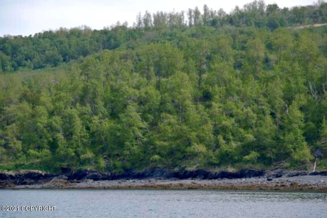 10 acres in Kodiak Island Borough, Alaska
