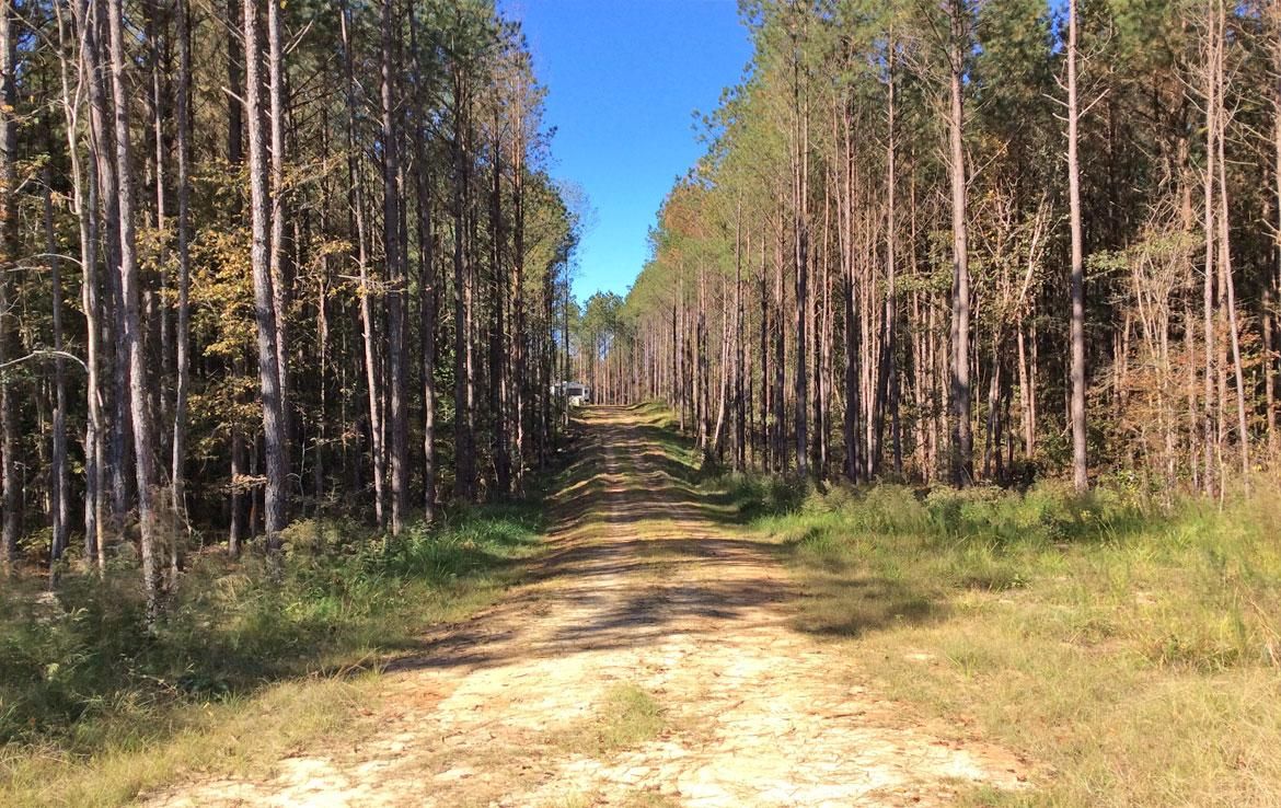 55 acres in Crenshaw County, Alabama
