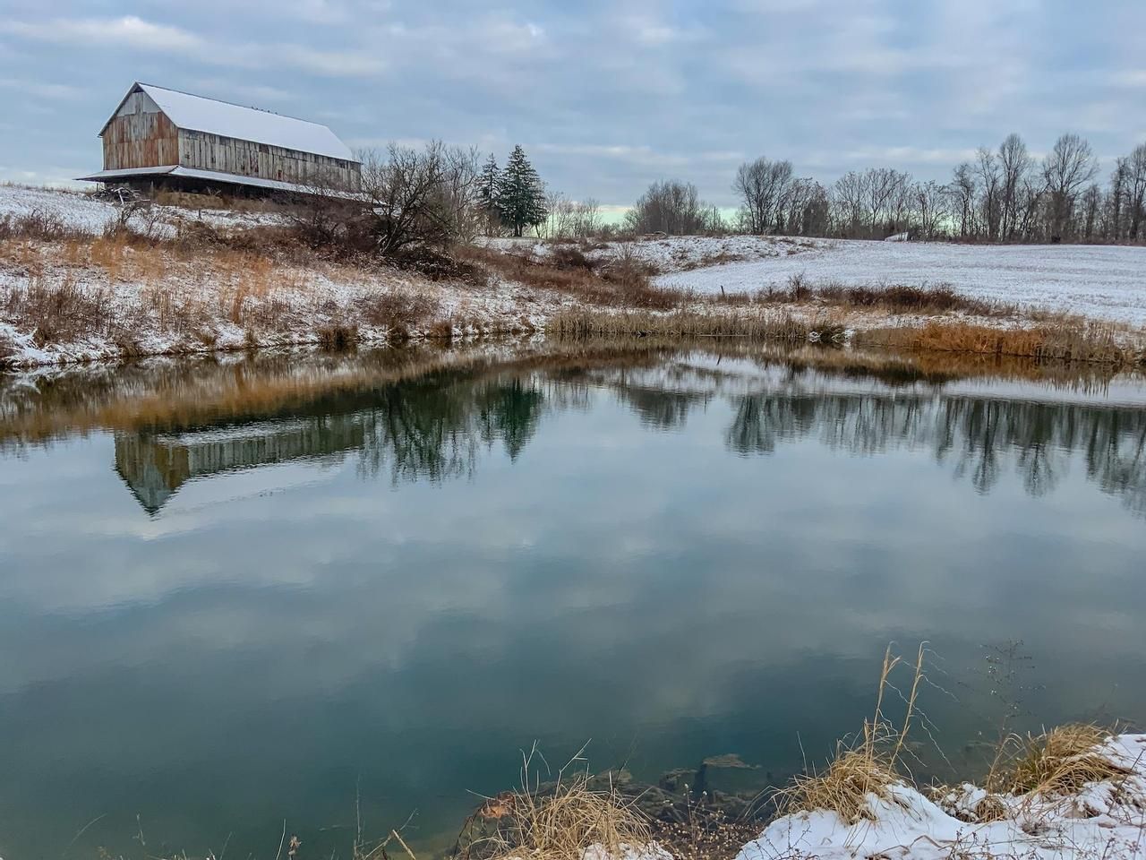 0 Buckeye Ridge Rd, Chesterhill, OH 43728