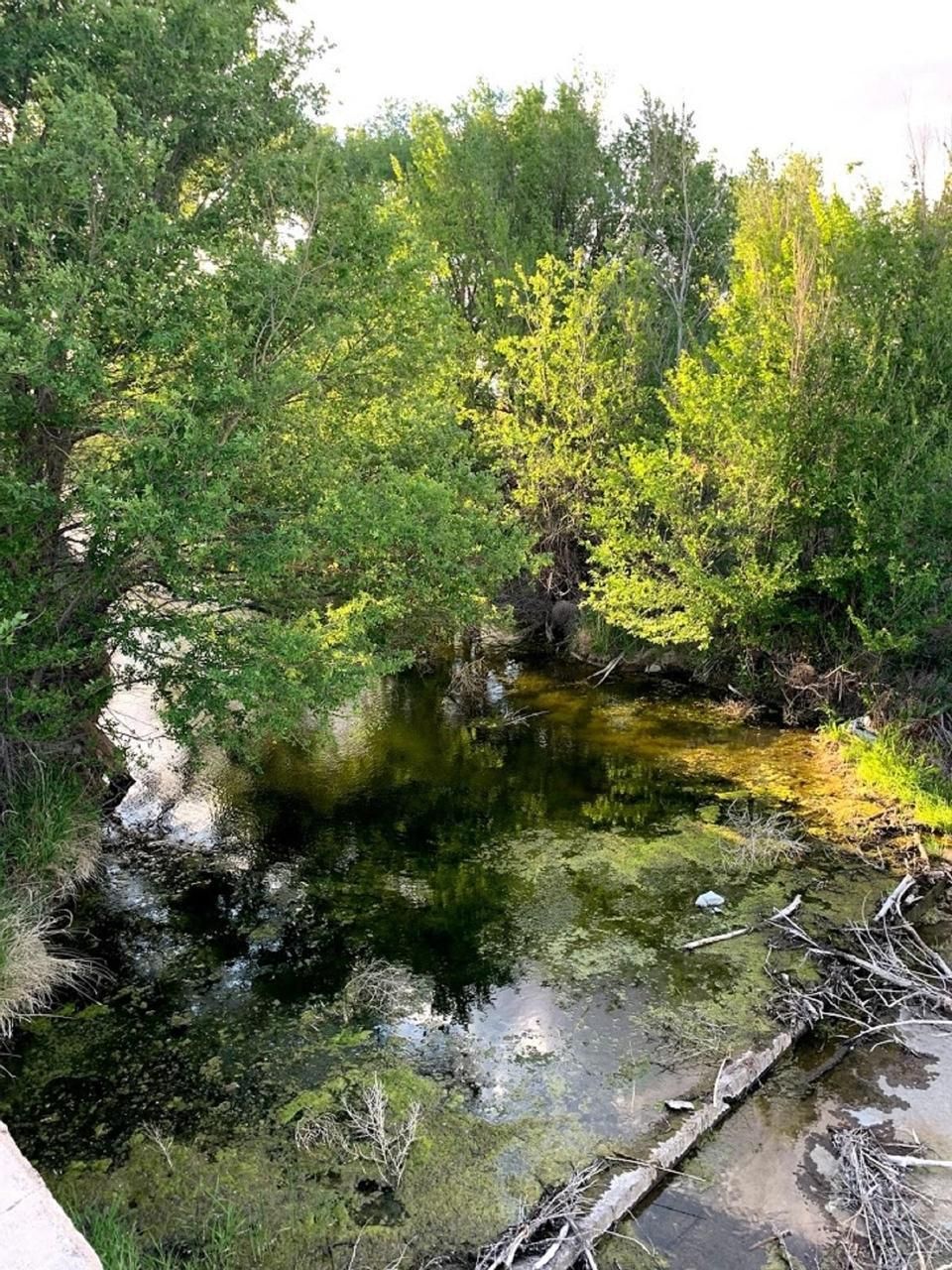 300 acres in Crowley County, Colorado