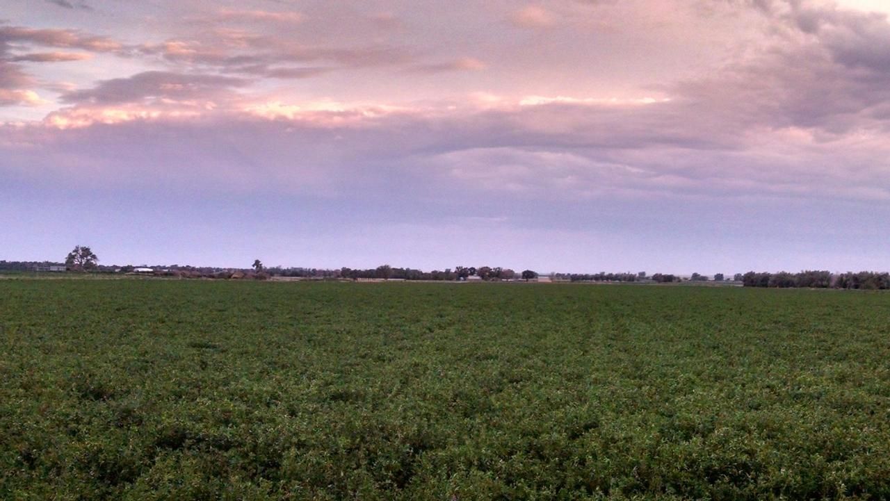 County Lane 11.5 and Road F.5, Crowley, CO 81062