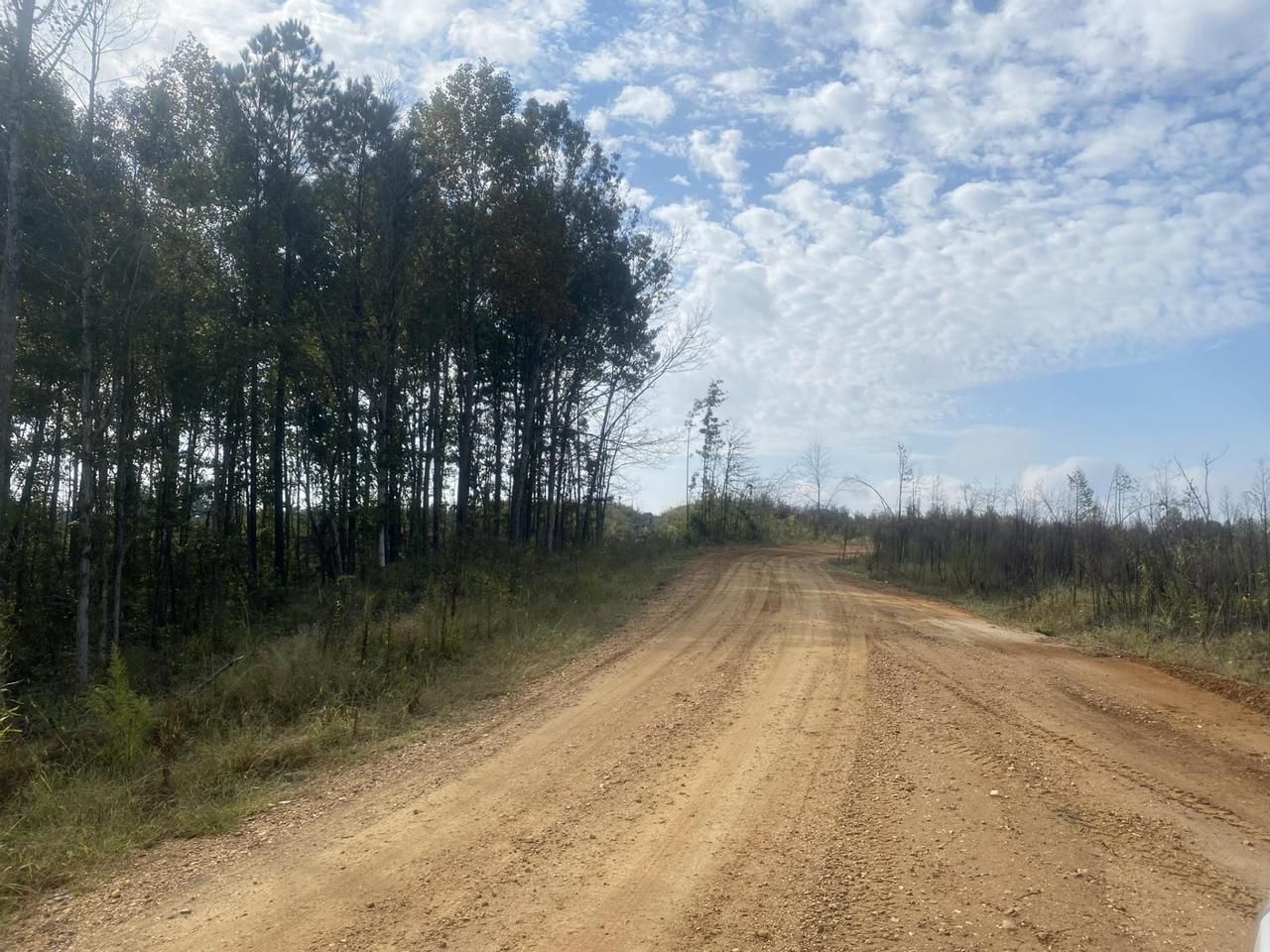 218.77 acres in Prentiss County, Mississippi