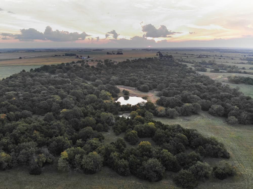 157 acres in Allen County, Kansas