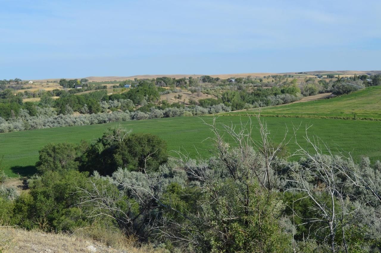 115 acres in Malheur County, Oregon