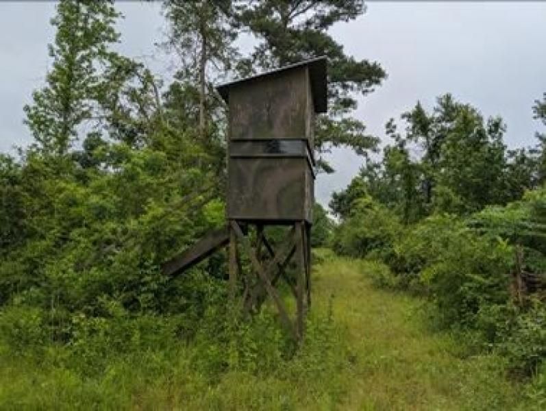 40 acres in Jefferson Davis County, Mississippi