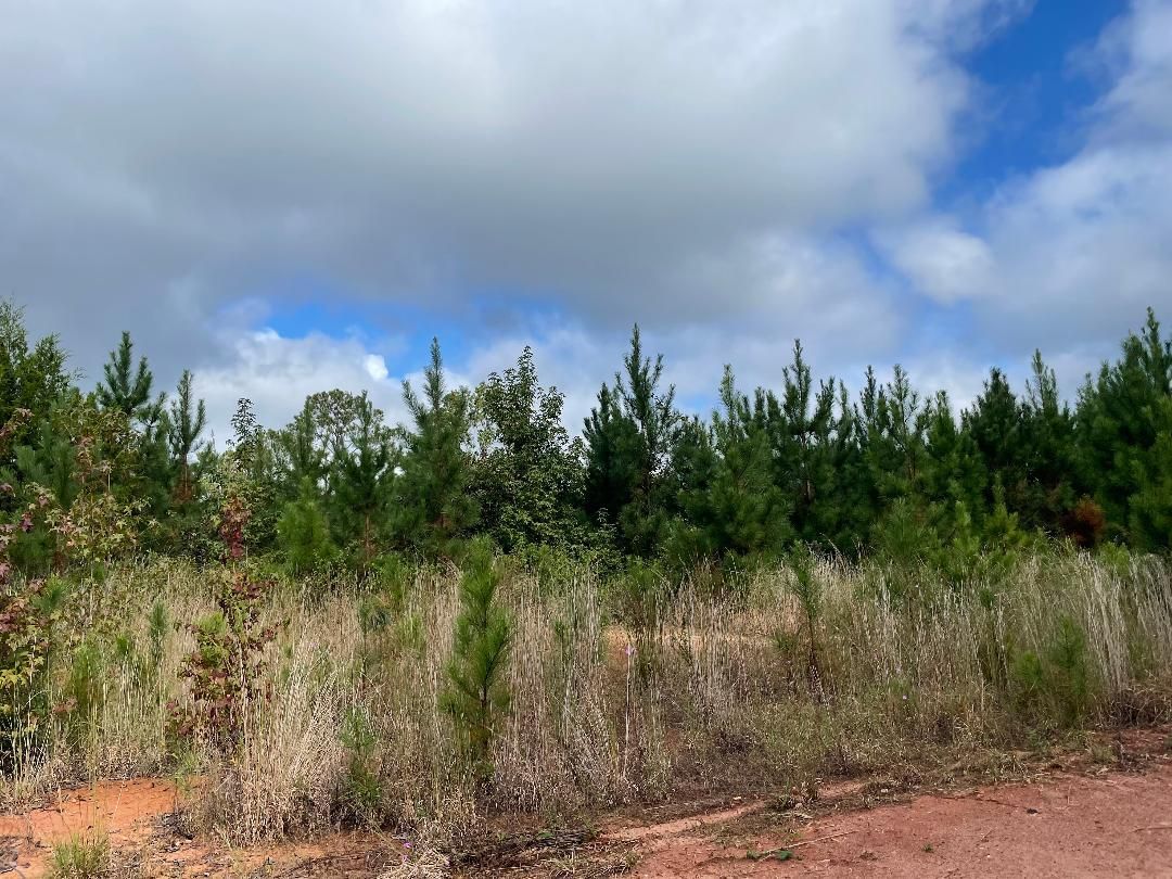 12.37 acres in Lee County, Alabama