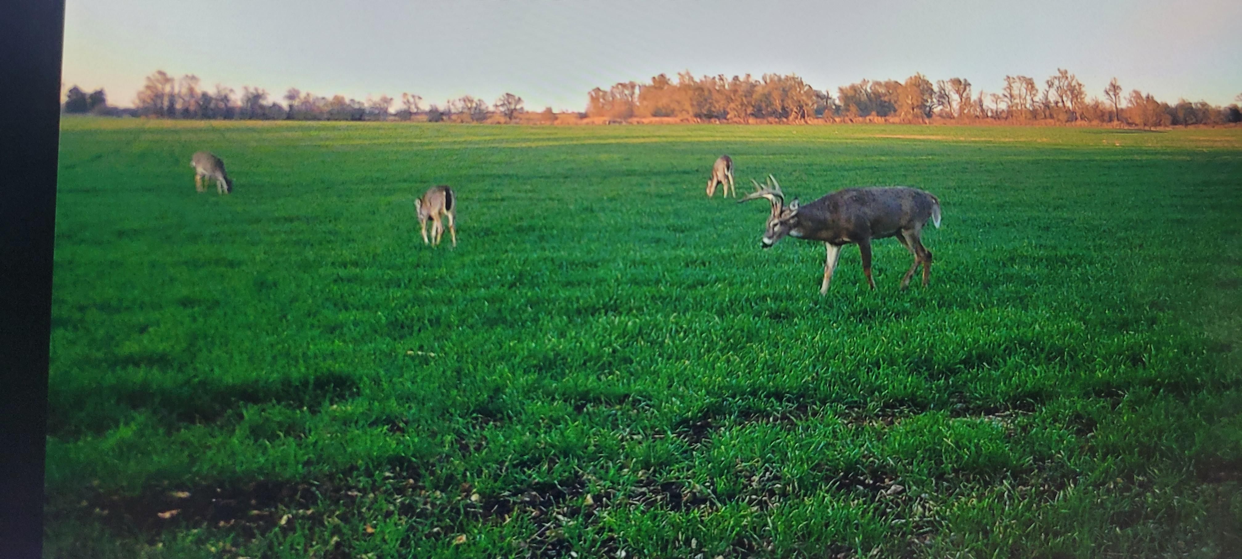 260 acres in Harper County, Kansas