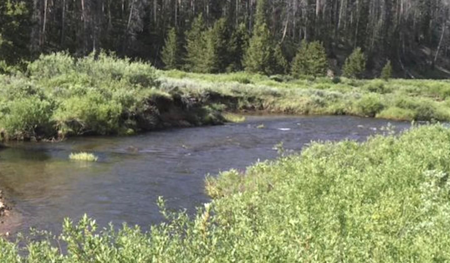 40 acres in Jackson County, Colorado