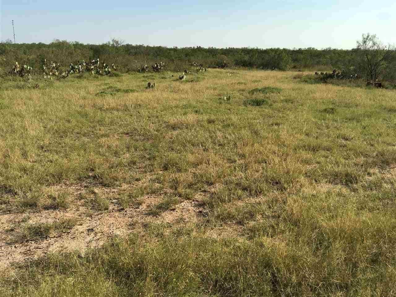 309.58 acres in b County, Texas