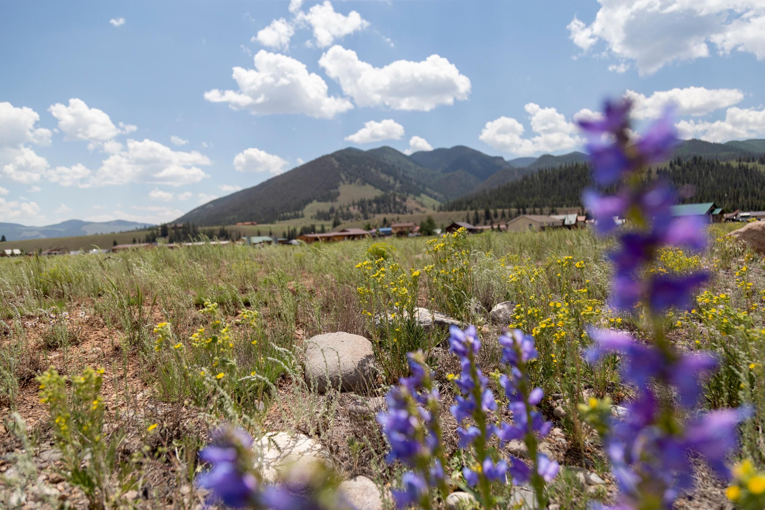 0.25 acres in Mineral County, Colorado