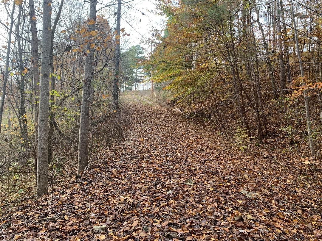 7.07 acres in Maury County, Tennessee