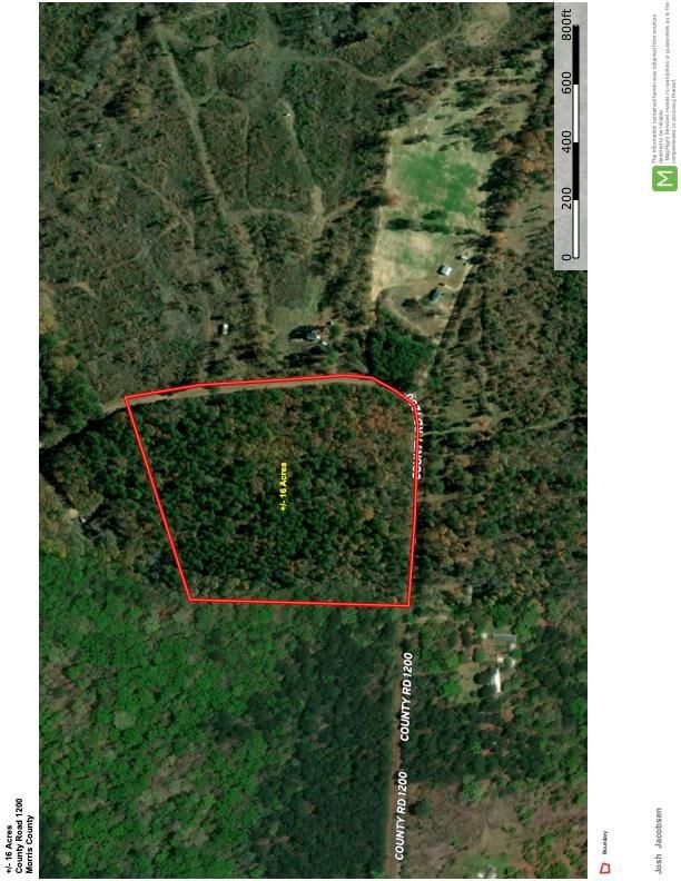 County Road 1200, Daingerfield, TX 75638