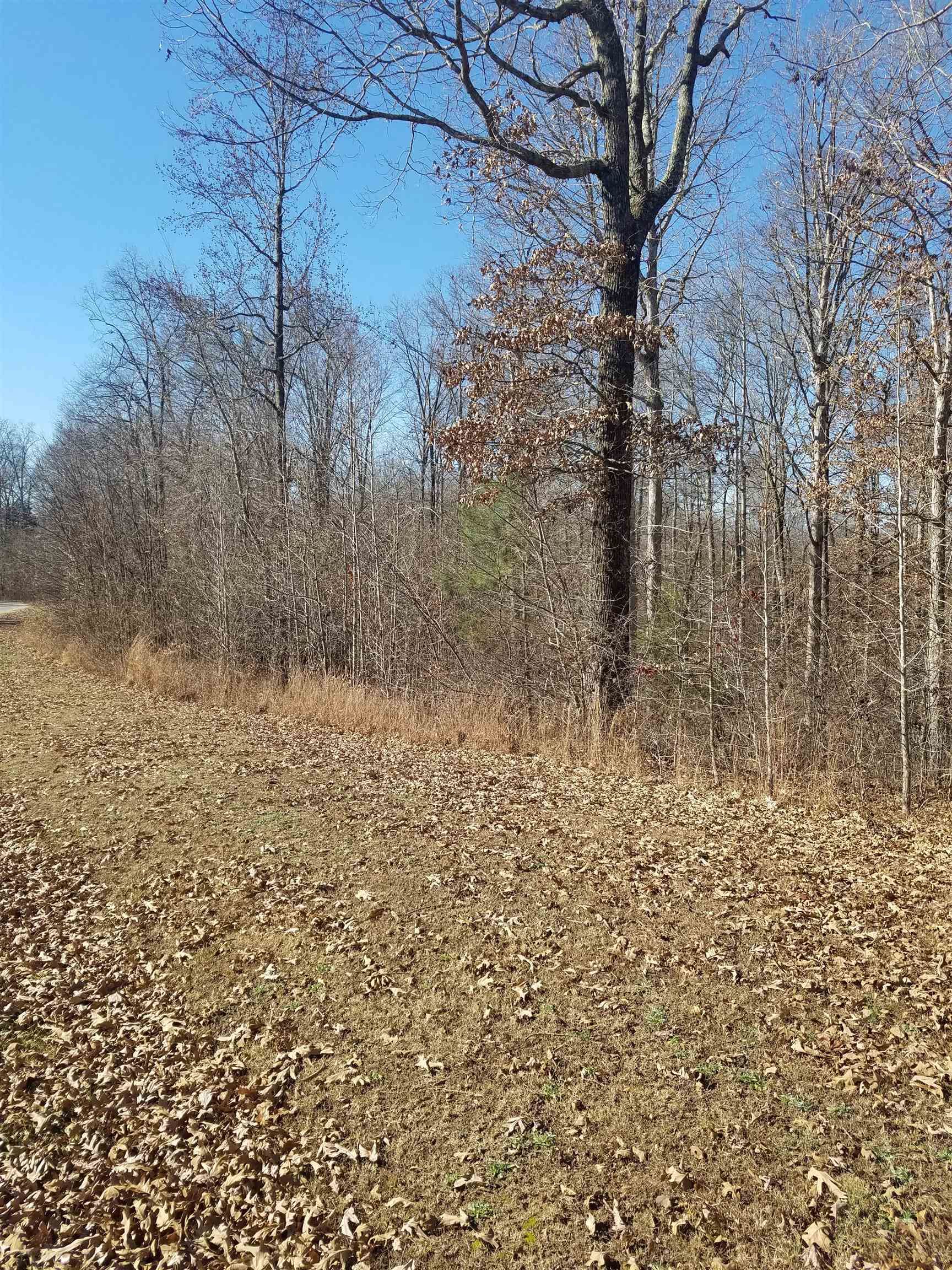 58 acres in Henderson County, Tennessee