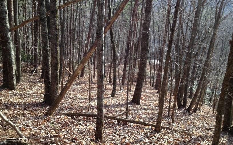 1.01 acres in Pickens County,