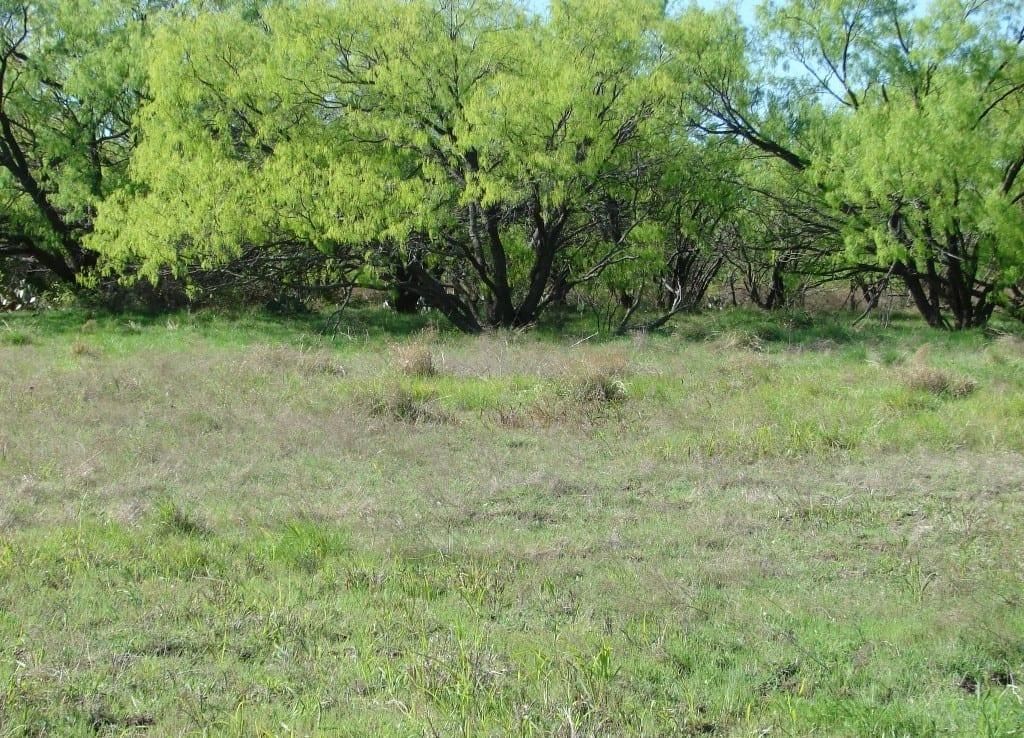 198 acres in Fannin County, Texas
