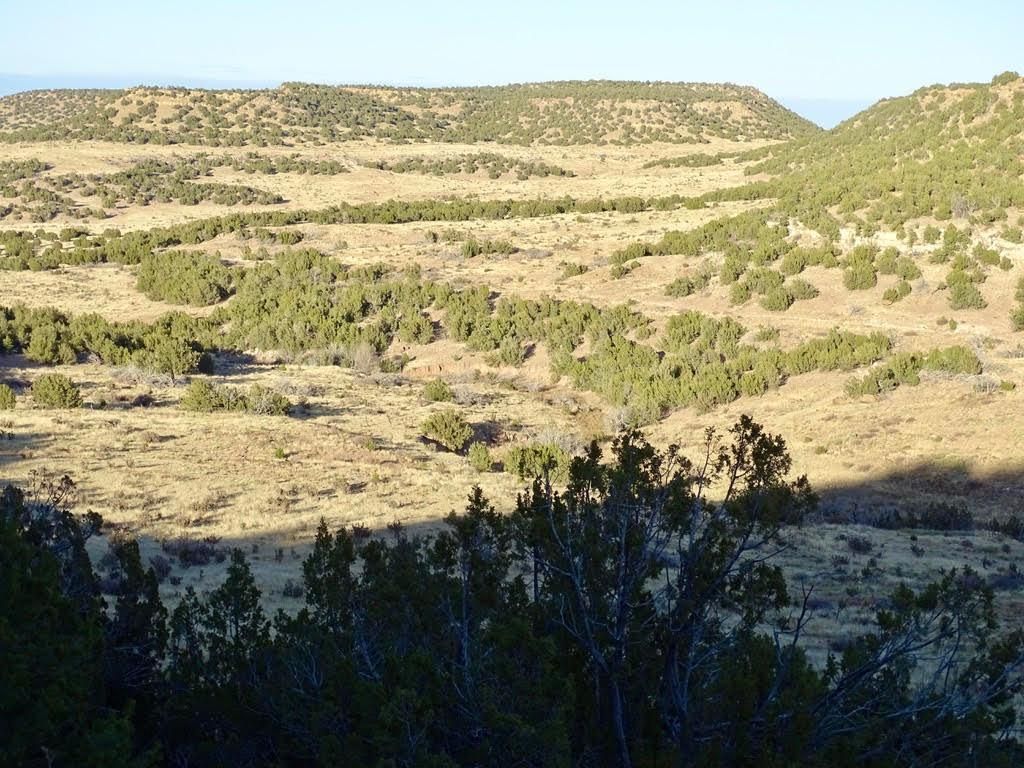 1,200 acres in Las Animas County, Colorado