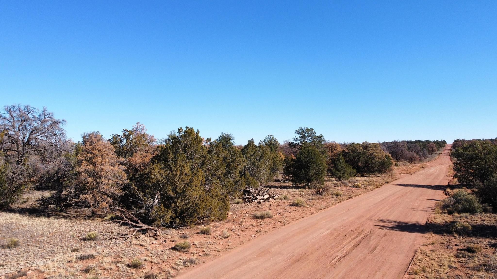 20 acres in Coconino County, Arizona