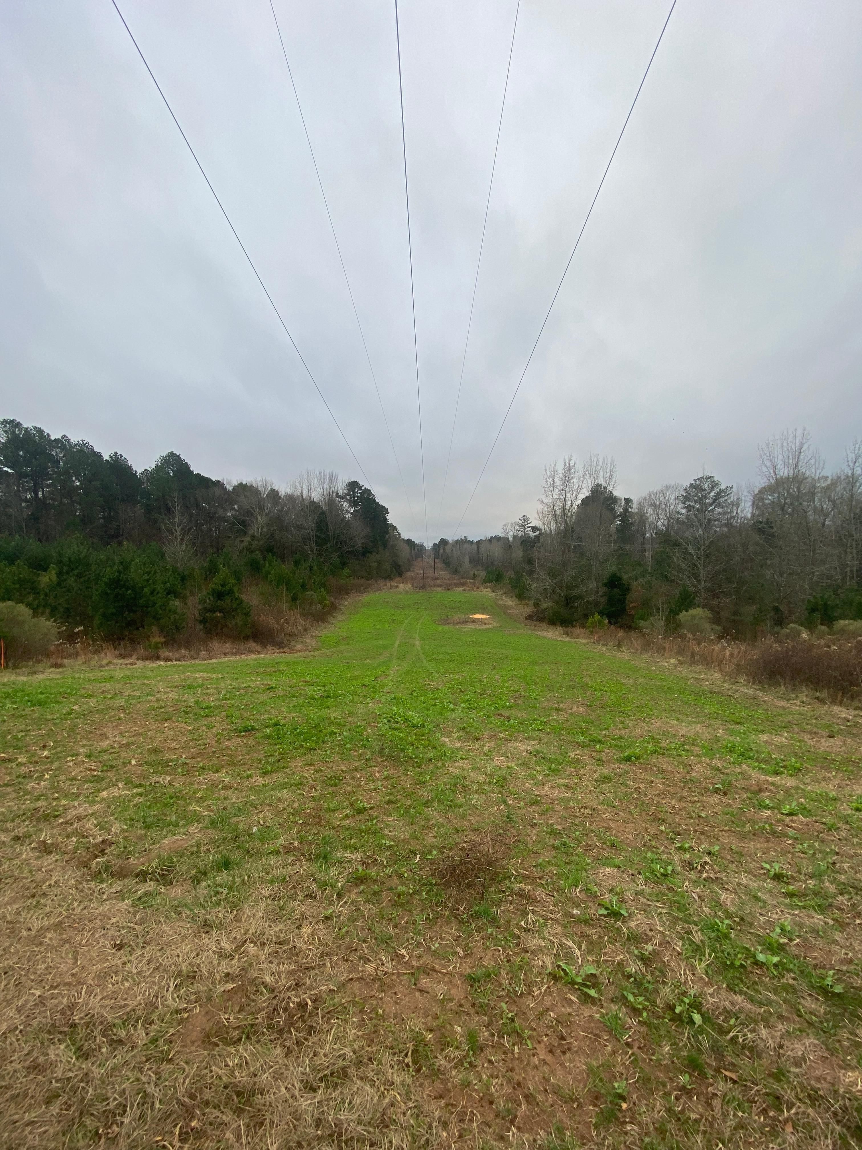 63 acres in Montgomery County, Mississippi