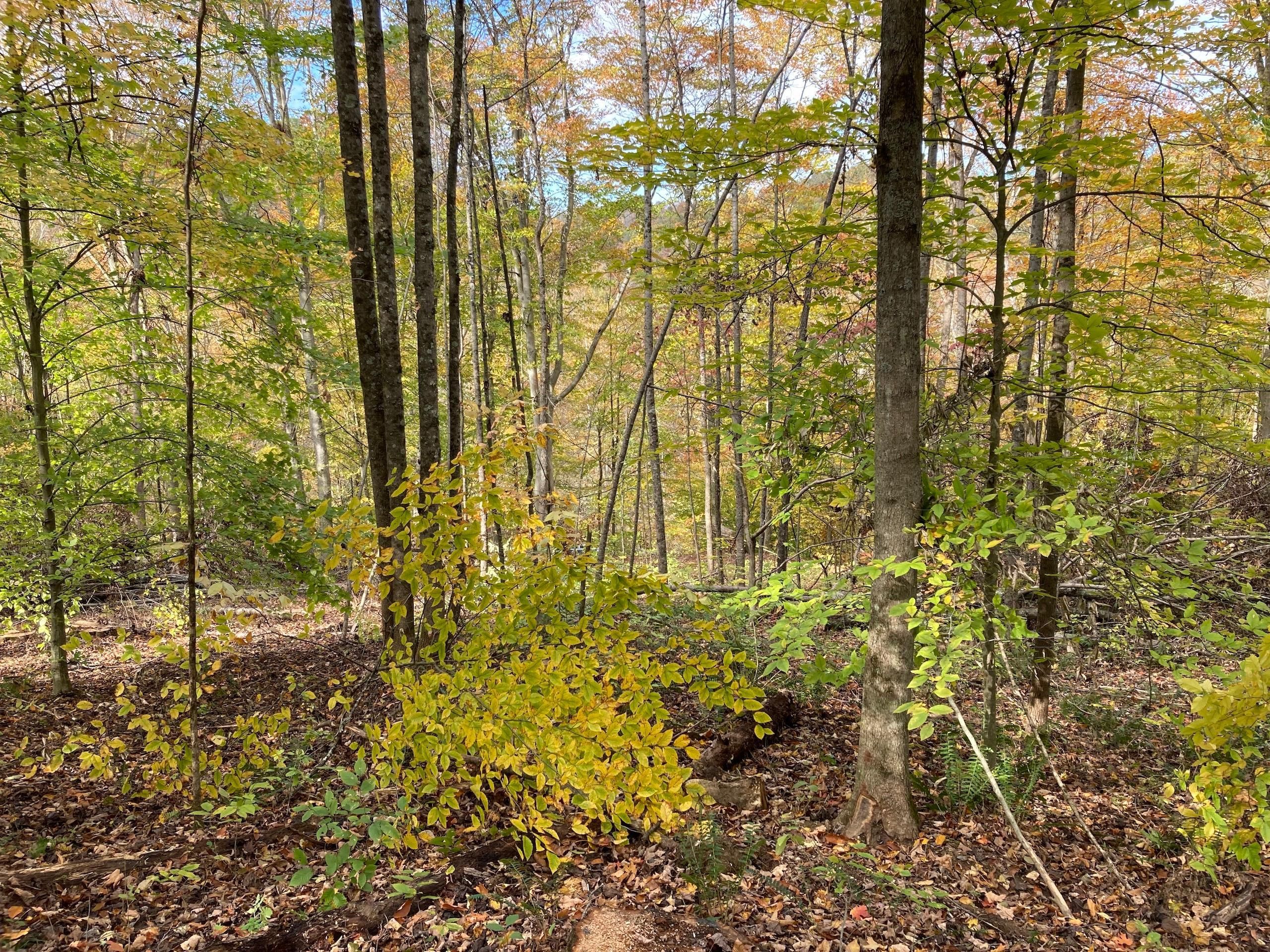 87 acres in County, Ohio