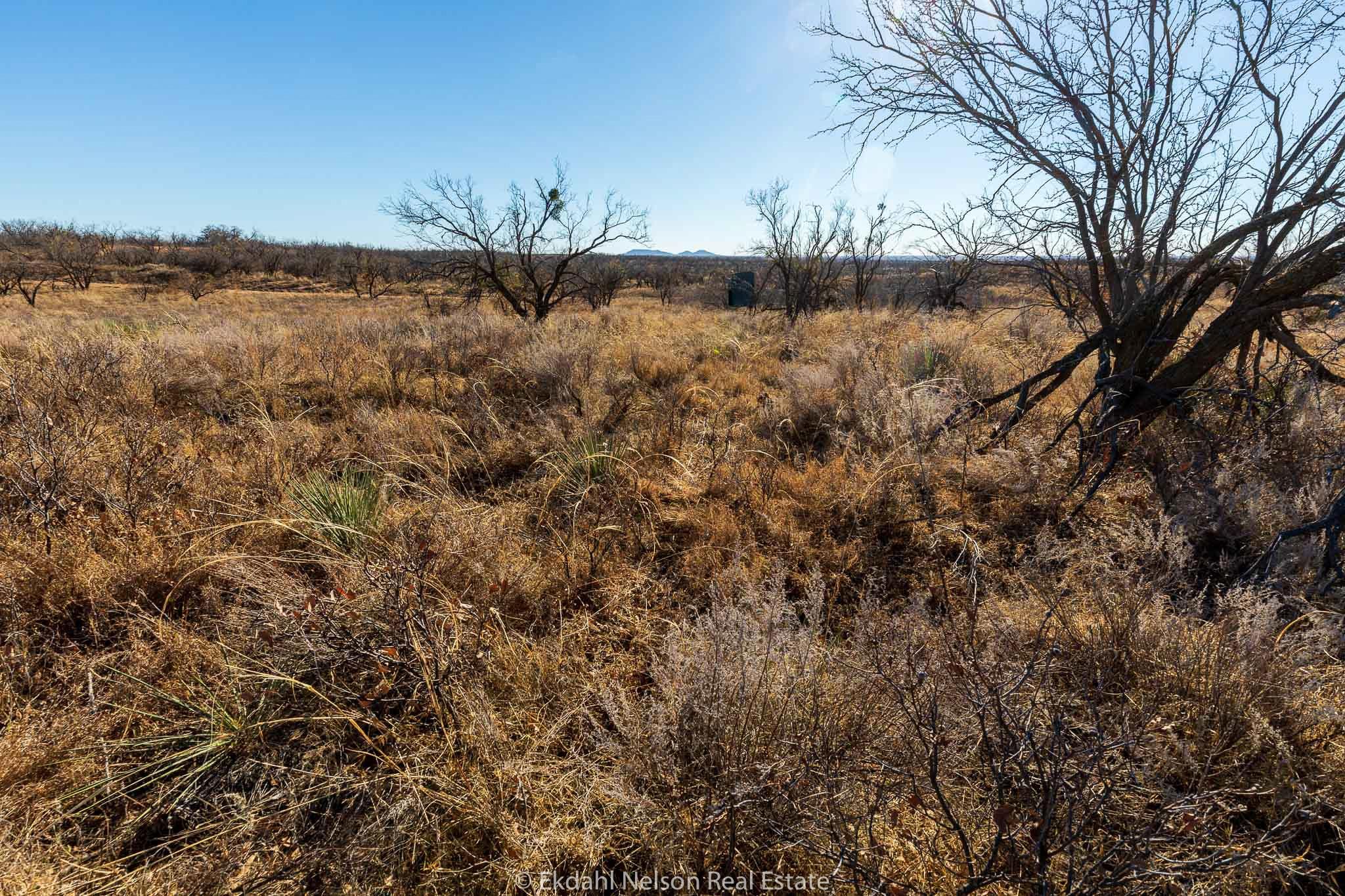 65 acres in Stonewall County, Texas