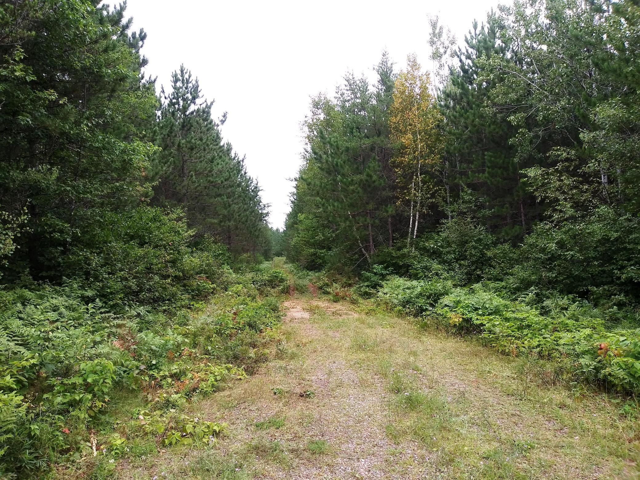 6 acres in Oneida County, Wisconsin