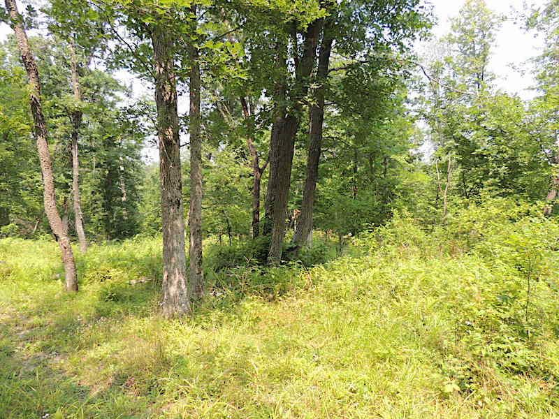 4.01 acres in Vernon County, Wisconsin