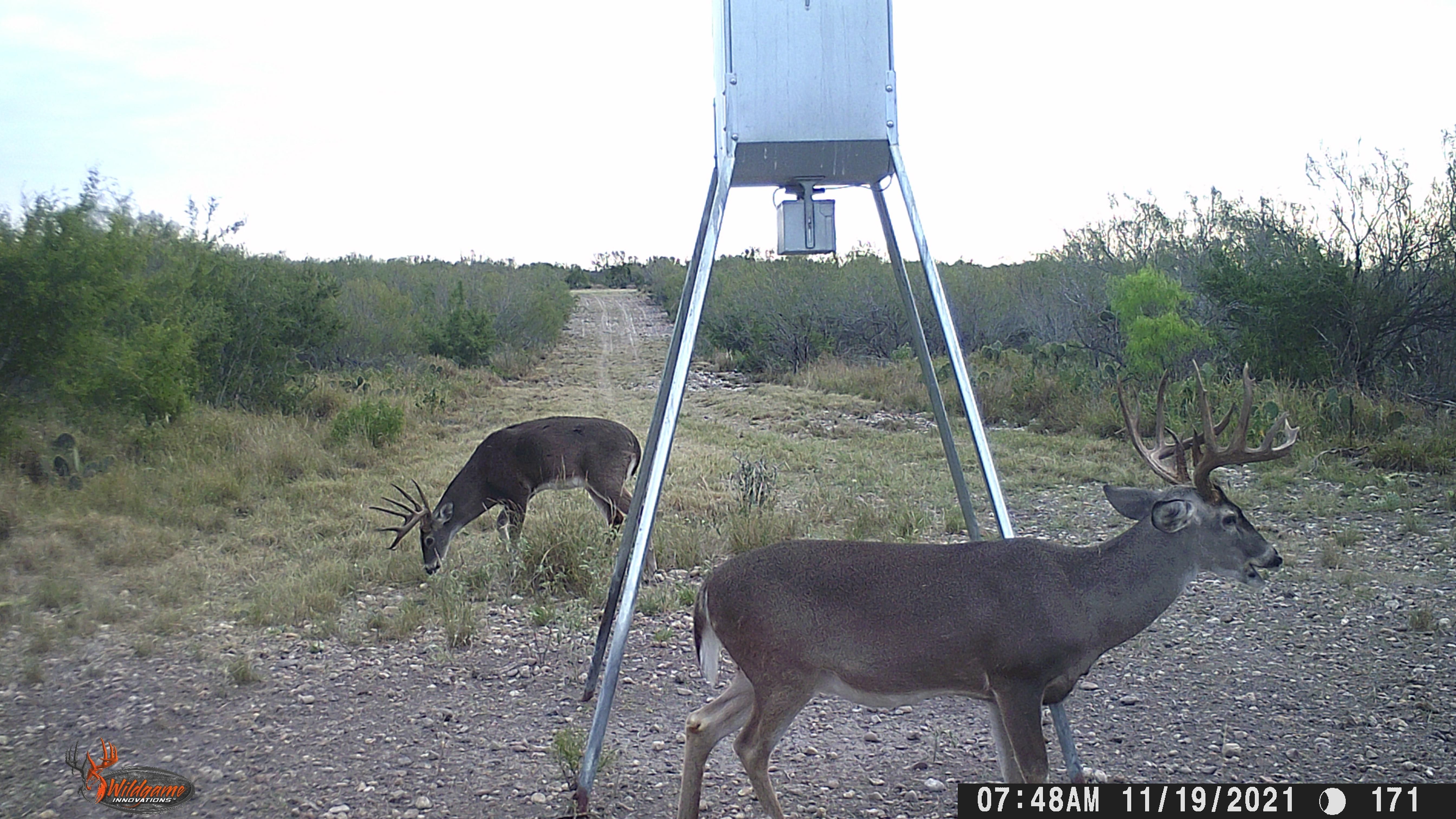 2,600 acres in b County, Texas
