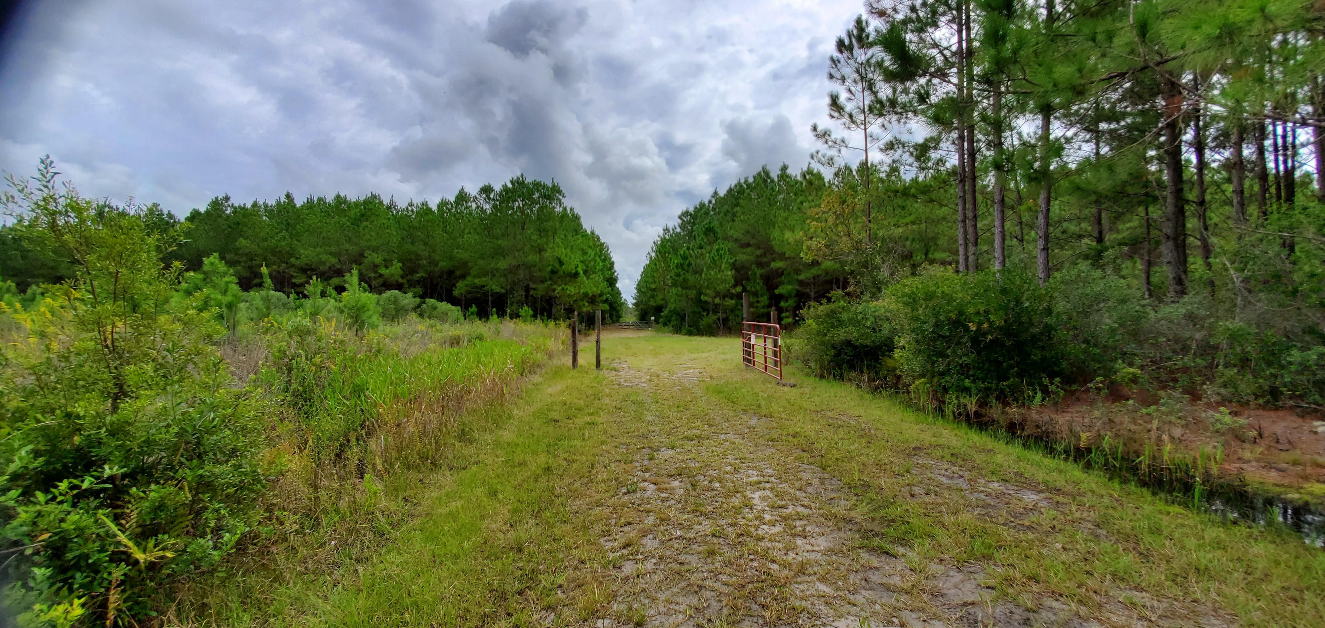 38 acres in Ware County,