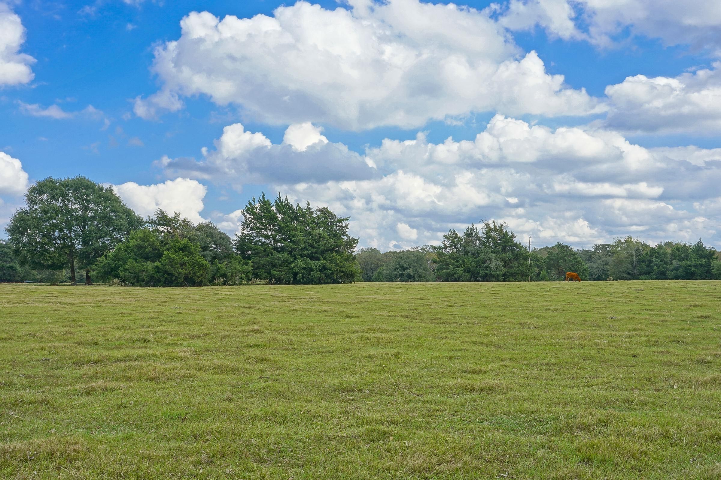 11.24 acres in Madison County, Texas