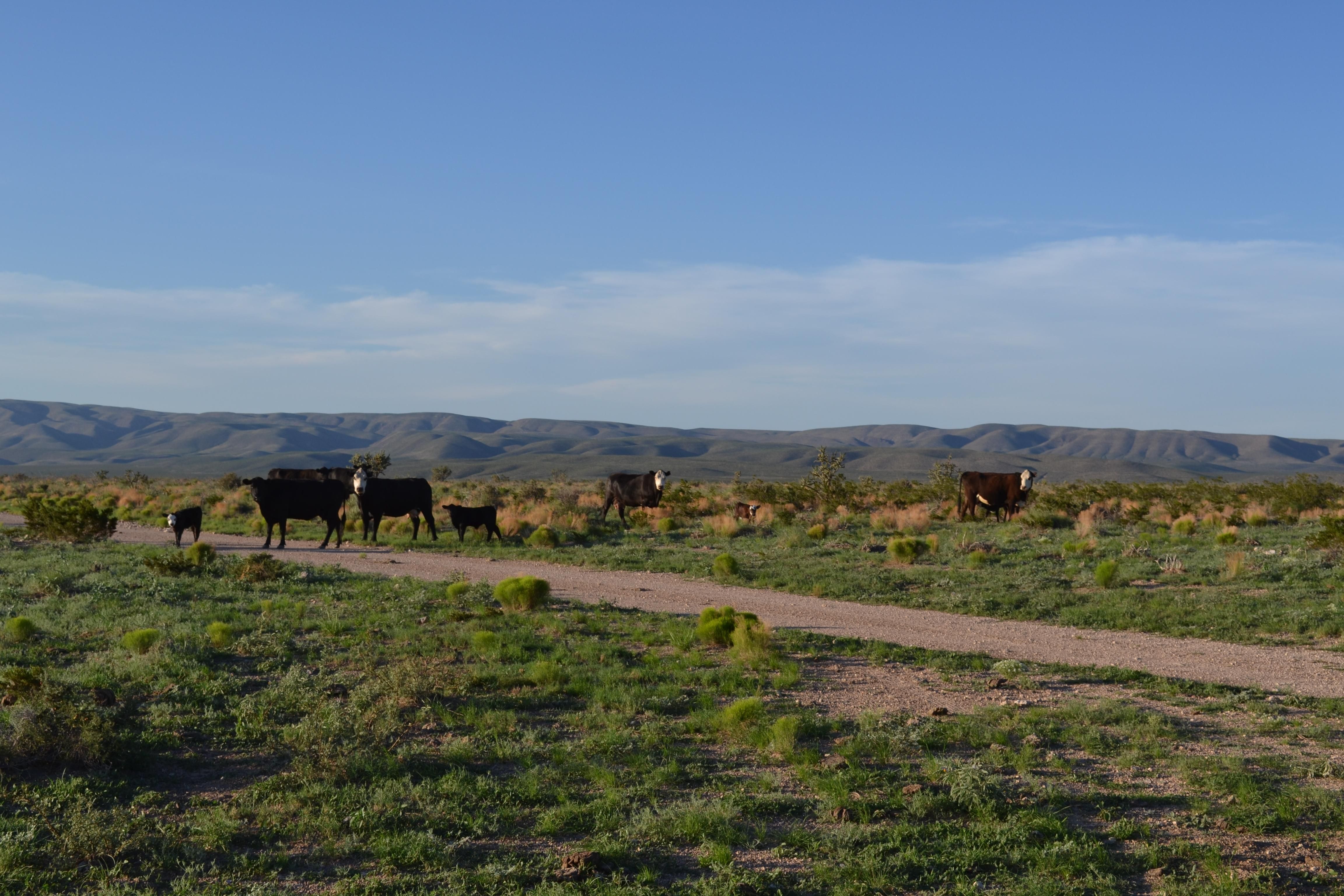 111,812 acres in Otero County, New Mexico
