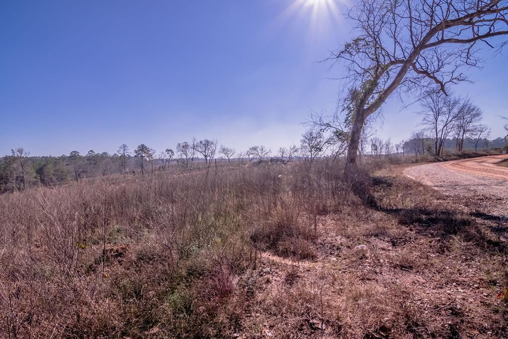 15 acres in Nacogdoches County, Texas