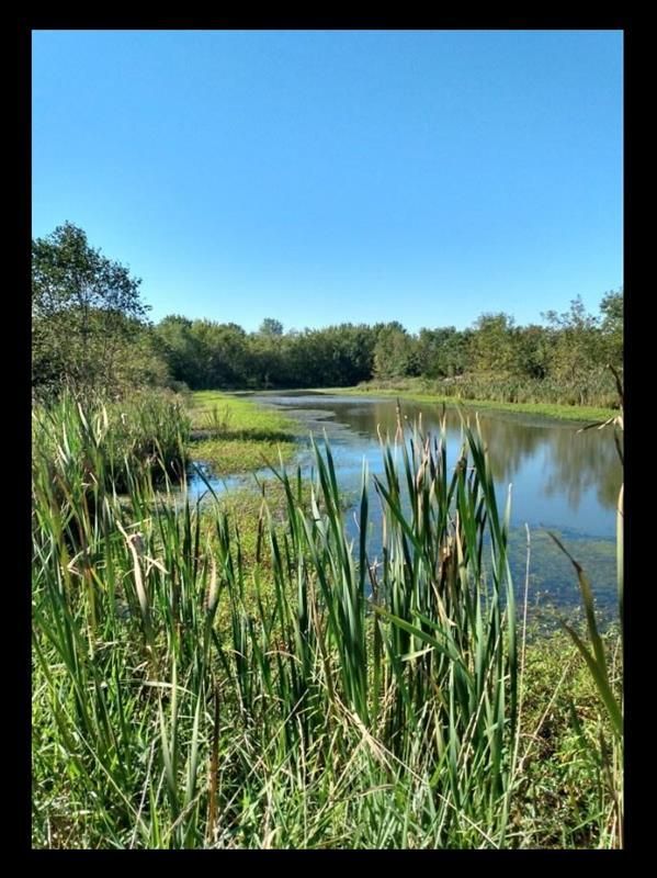 19 acres in Macon County, Missouri