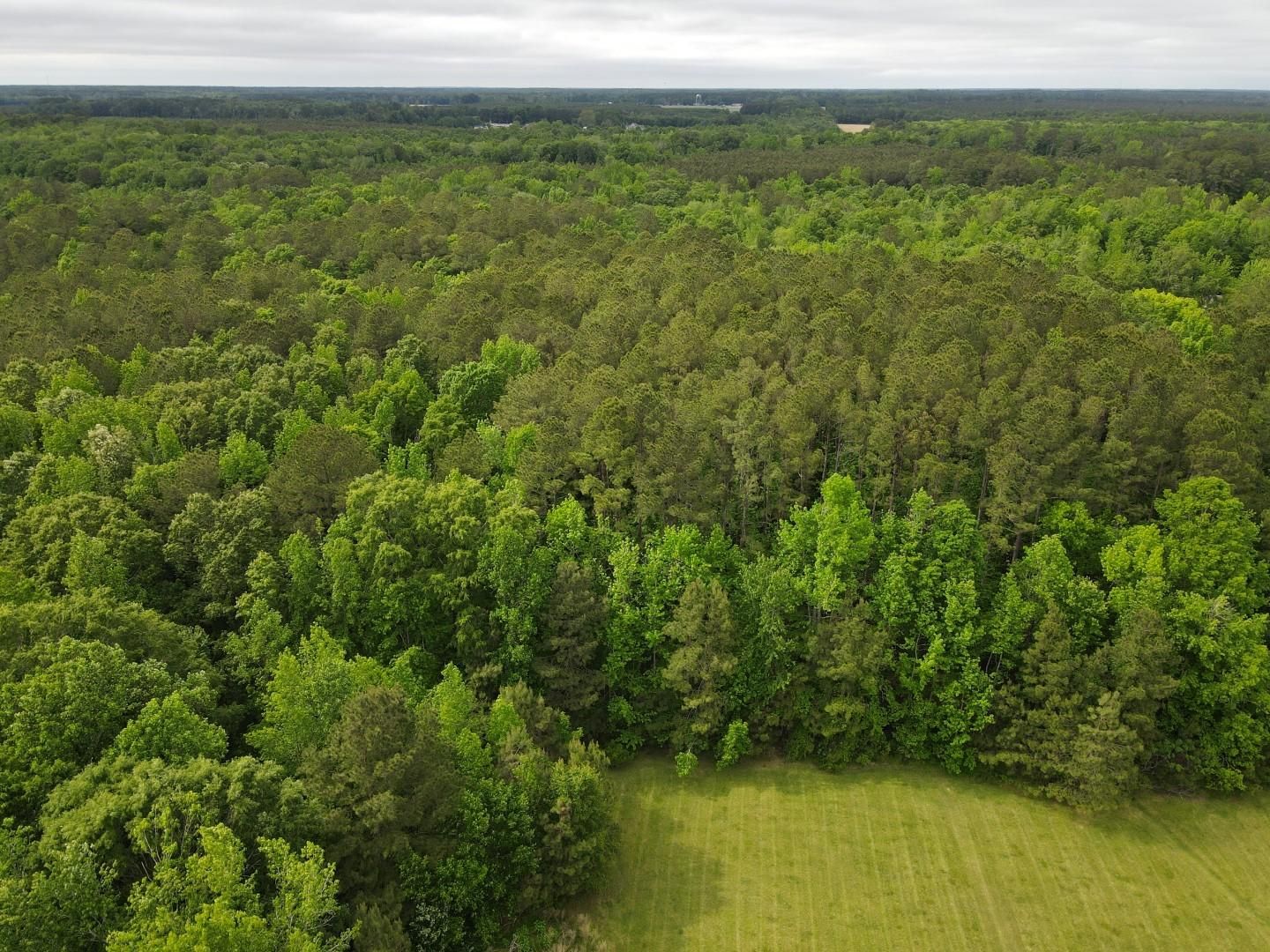 27.09 acres in Gates County, North Carolina