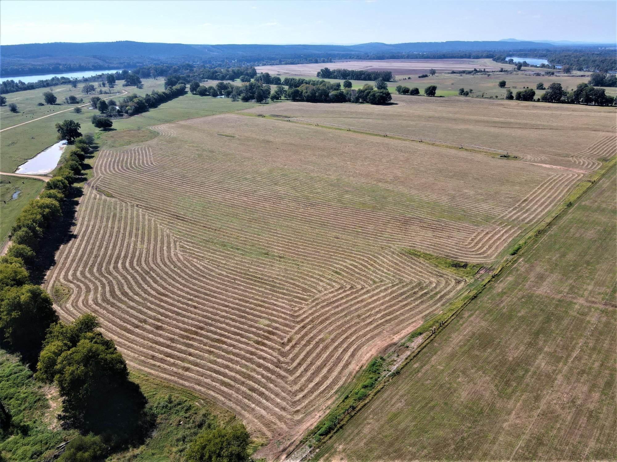 1555 Portland Road, Plumerville, AR 72127 MLS Conway 502