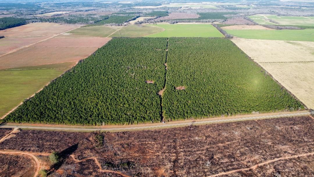 206.49 acres in Jefferson County,